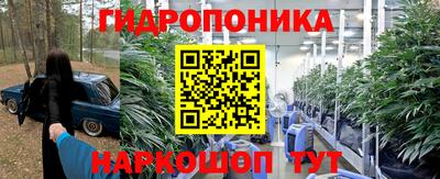 дживик Нальчик