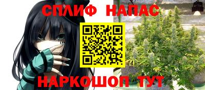 дживик Нальчик