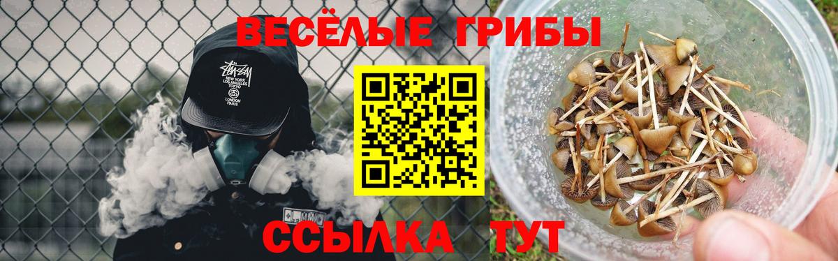 Псилоцибиновые грибы Psilocybine cubensis  где продают наркотики  Галлюциногенные грибы Magic Shrooms  Владимир  Вход с VPN 